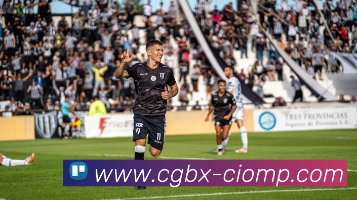 世界杯平台官网登录平台生态图